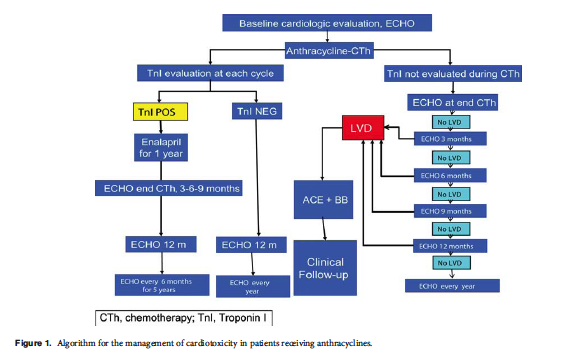 3CardiovascularToxicityInducedByChemotherapy_Figure1.png