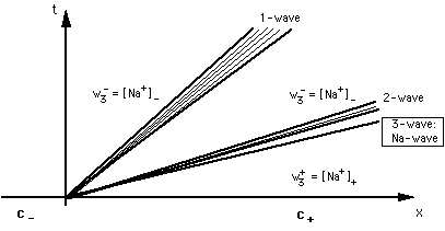 Fan of waves in 3-component system Na-OAc-Cl-OH