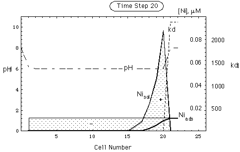 Fig. 6b: Accumulation Profiles in Column without pH Buffer 